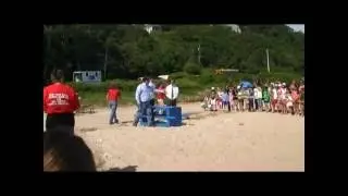 Seal Release at Port Jefferson's West Beach