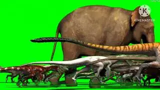 animals stampede green screen