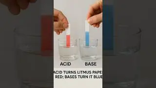 Acid turns litmus paper red; bases turn it blue. #science #chemistry #technology #scinceexperiment