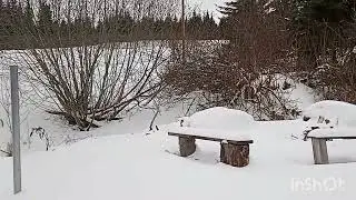 A Little Snow Removal Time Alaska 2026 And Bonus Footage of Lily In The Snow.. 