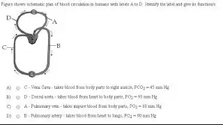 NEET 2013 Biology 0022310