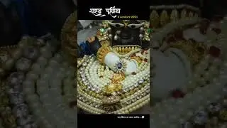 Sharad Purnima|| Radharamanju 🤍✨#radharaman #sharadpurnima2025#vrindavan #thakurji #shorts #viral