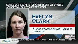 VIDEO: Deputies: Woman caught with nearly 10 pounds of weed in Georgetown Co. home