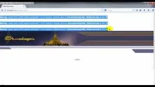 SQL Injection With Havij