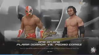 Flama Dorada Vs Pedro Gomez(Goldmine)