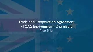 Trade and Cooperation Agreement (TCA): Environment: Chemicals