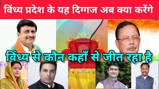 Vindhyapradesh Election Exit Poll 2023 || रीवा सीधी सतना से बड़े दिग्गज चुनाव हार रहें हैं #election