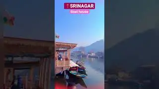 Kashmir BOAT HOUSE//#kashmir #kashmirnews #srinagar #boathouse #boating #srinagarcity