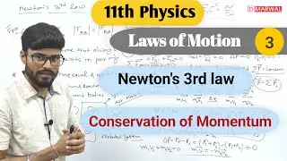 Newton's third law | Conservation of Momentum | What are the Internal and External Forces | Class 11