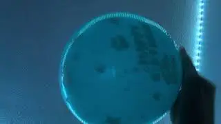 Balloon episode #88294