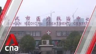 Wuhan virus outbreak could be like 2009 H1N1 pandemic in 'worst-case scenario': Health expert