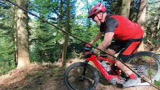Trails an der Fuchsklinge in Calw und am Predigtplatz