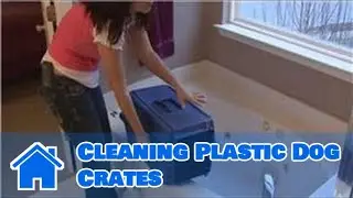 Housecleaning Tips : Cleaning Plastic Dog Crates