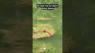 Topwater Pond Fishing Challenge: I didn't expect this! #shorts #fishing #pondfishing