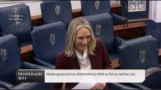 Seanad Commencement Matter - Healthcare in HSE Mid-West Region (17.12.25)