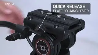 Cayer BV30L Video Tripod with Fluid Head
