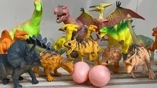 I Found 10 Dinosours, Spinosaurus, Ankylosaurus, T Rex, Stegosaurus, Allosaurus, Camarasaurus, Paras