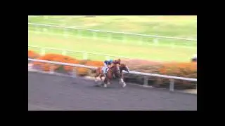 Cook Inlet & Captain Corrigan, HP 6/1/13
