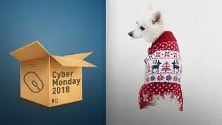 Save Big On Blueberry Pet Products Black Friday / Cyber Monday 2018 | Cyber Monday Guide