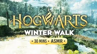Winter Dawn & Dusk at Hogwarts | Calm First-Person ASMR Walk ❄️