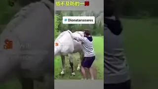 os piores coises de animais