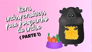Comprei/adotei um porquinho da índia. E agora? (PARTE 1)