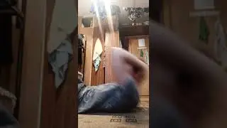 VID 20211128 110601