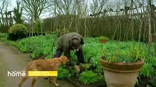 A kert&eacute;sz kertje