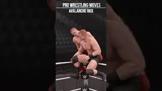 Pro Wrestling Moves 121 Avalanche RKO