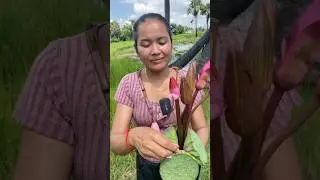 Eating water lily flower #siscookingtv #flowers #eating