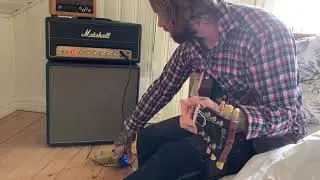Marshall SV20 + Timmy = Great match