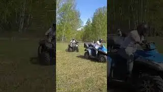 Квадроциклы в поле. CF moto.