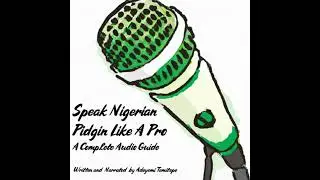 Speak Nigerian Pidgin Like a Pro: A Complete Audio Guide - Adeyemi Temitope