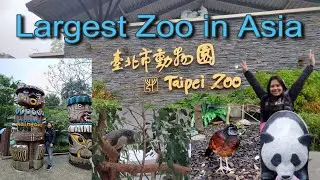 Exploring the Largest Zoo in Asia / Taipie zoo / Echontog