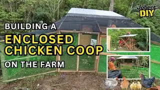 Building Enclosed Chicken Coop🐔