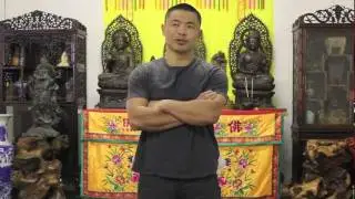 Shaolin Master's Kung Fu Training Plan