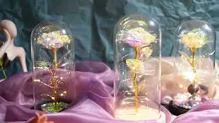 Enchanting Rose with Glass Case - Preview