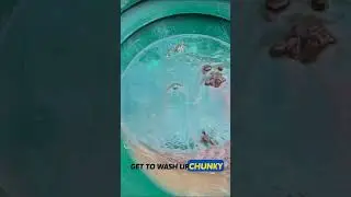 Получаем чистое золото!