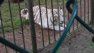 Popcorn Park Animal Refuge