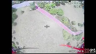 Sailfly-X Mod Fun Flight Raw