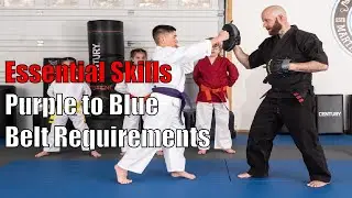 🔵 Purple to Blue Belt Requirements | Essential Ground Skills & Drills for Success! 🥋