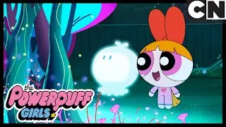 Z archiwum B | Atomówki | Cartoon Network