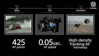 &alpha;6300 -Advanced 4D FOCUS  | &alpha; | Sony
