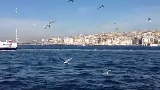 İSTANBUL ŞARKILARI FİKRET ERKAYA ÇAMLICA YOLUNDA