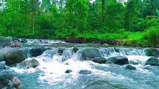 Mountain woodland stream reflecting brilliant autumn hues in a tranquil and soothing forest