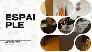 ESPAI PLE: Resum del ple extraordinari del 15 de gener de 2026
