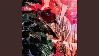 Selena Freestyle