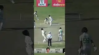 PCB Archive - Mohammad Wasim Jnr makes wonderful 4️⃣3️⃣ | PAK vs NZ 1st Test, 2022-23 #Shorts MZ2A
