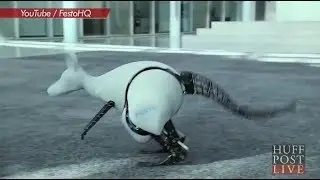 Scientists Invent Hopping Robotic Kangaroo