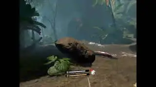 GREEN HELL VR / I got the first Puma kill